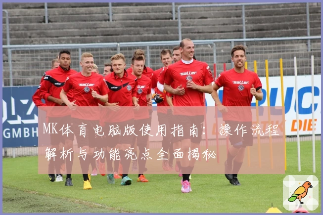 MK体育电脑版使用指南：操作流程解析与功能亮点全面揭秘