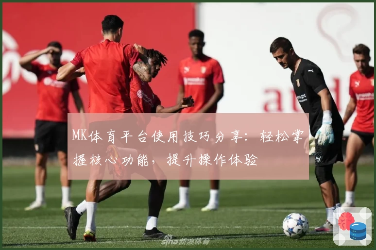 MK体育平台使用技巧分享：轻松掌握核心功能，提升操作体验